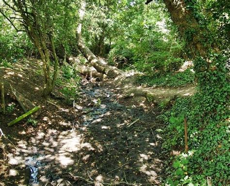 Beverley Brook Londons Lost Rivers Book And Walking Tours By Paul