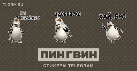 Набор стикеров для Telegram «Пингвин»
