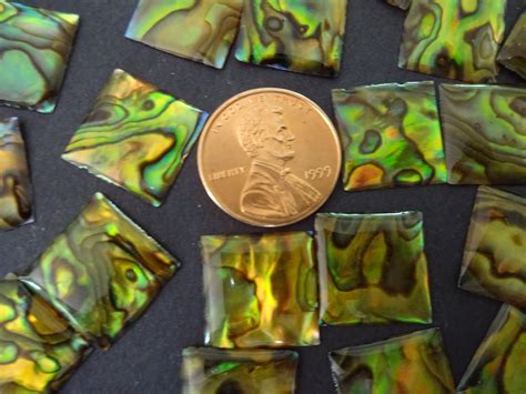 15x15mm Natural Abalone And Paua Shell Cabochon Square Shape Polished