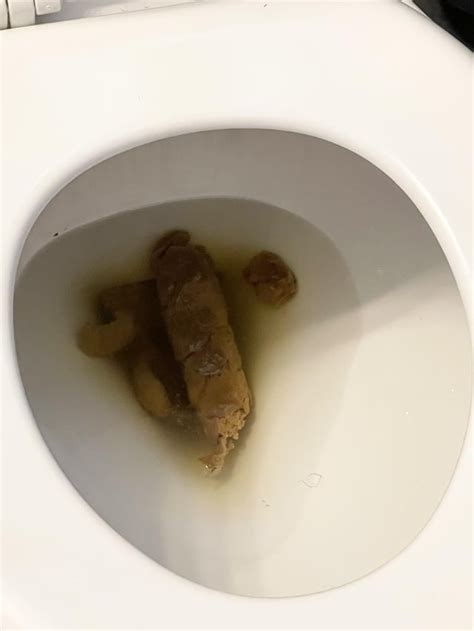 don’t let the big toilet distract you from the fact that this is one of my thickest : r/poop