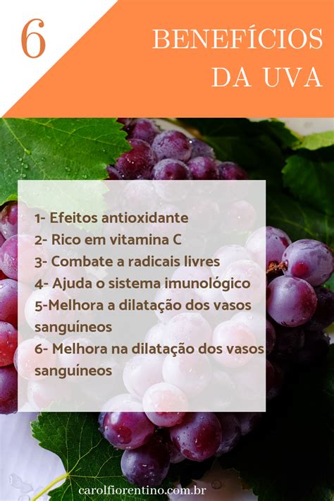 Benefícios Da Uva Benefícios Da Uva Uva Benefícios Da Fruta