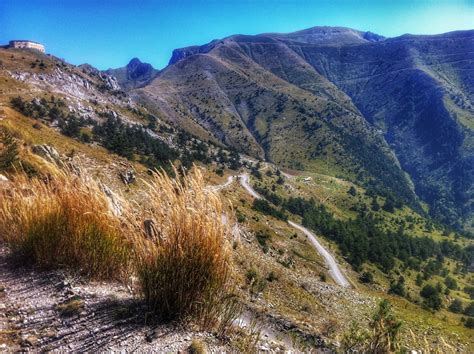 Banco De Imagens Panorama árvore Natureza Caminho Rocha Região