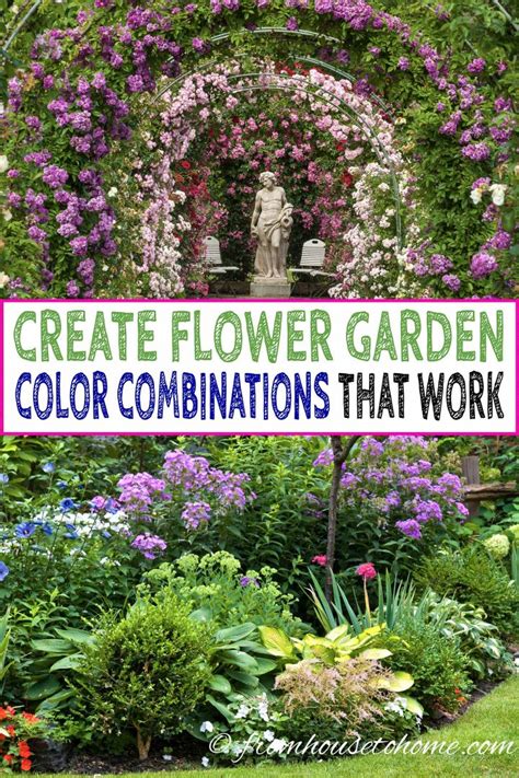 Garden Color Schemes How To Create Gorgeous Garden Color Combinations Gardening From House