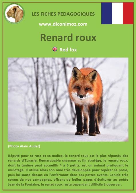 Fiches Animaux Pedagogiques Pdf Diconimoz Renard Animaux Loup