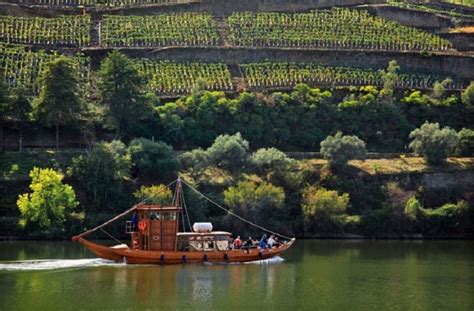 Private Douro Valley Full Day Wine Tour - Porto | Project Expedition