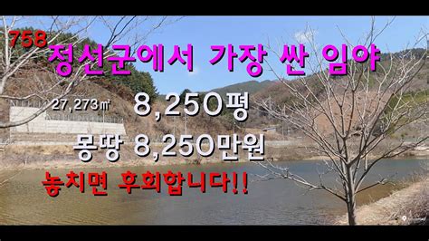 강원도 정선군에서 가장 싼 임야 급매물 Youtube