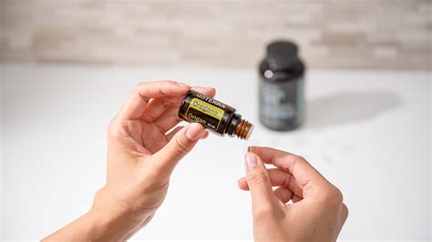 Oregano Essential Oil Health Benefits Uses More