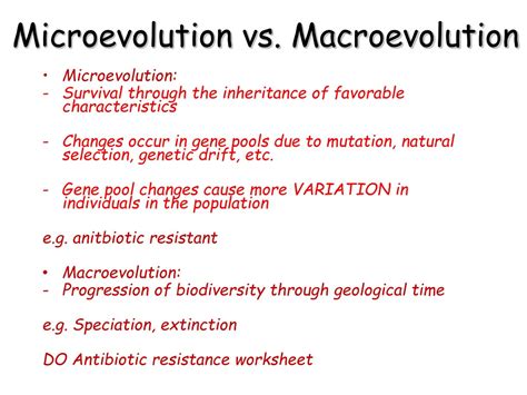 PPT - E volution of Species PowerPoint Presentation, free download - ID:673545