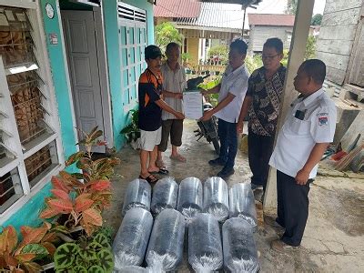 Pemda Boltim Serahkan Bantuan Benih Ikan Kepada Kelompok Budidaya Ikan