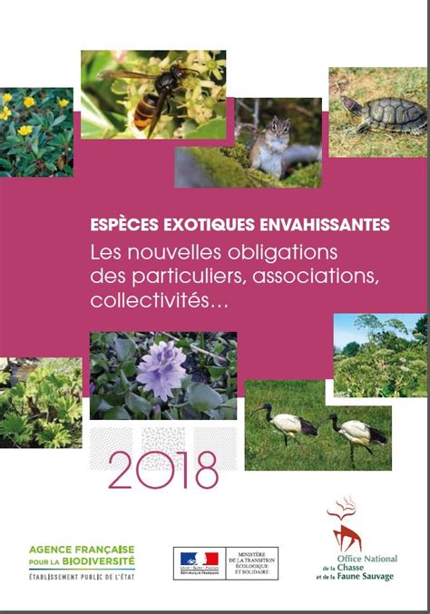 Esp Ces Exotiques Envahissantes Nature En Ville Cergy Pontoise