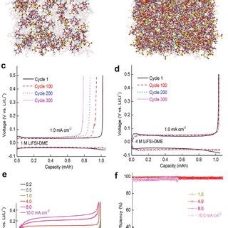 A Representative Li Cation Solvate Species SSIP CIP And AGGs In