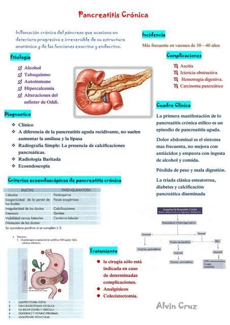 Pancreatitis Cr Nica Pancreatitis Gastroenterolog A Udocz Medicine