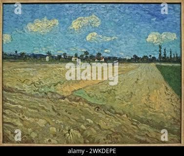 Ploughed Fields The Furrows By Vincent Van Gogh Stock Photo