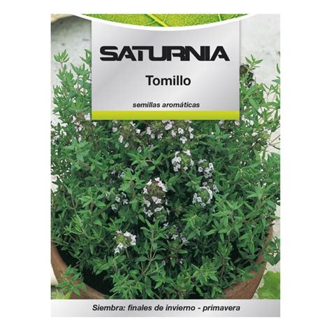 Semillas Aromaticas Tomillo 1 Gramo Horticultura Horticola Semillas