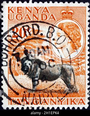 EAST AFRICAN POSTAL UNION UM 1954 Eine In Der East African Postal