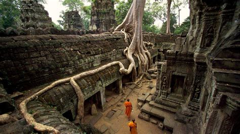 Ta_Prohm - Angkor Destination Travel