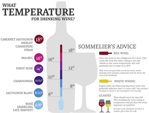 The Right Temperature The Wine Cellar