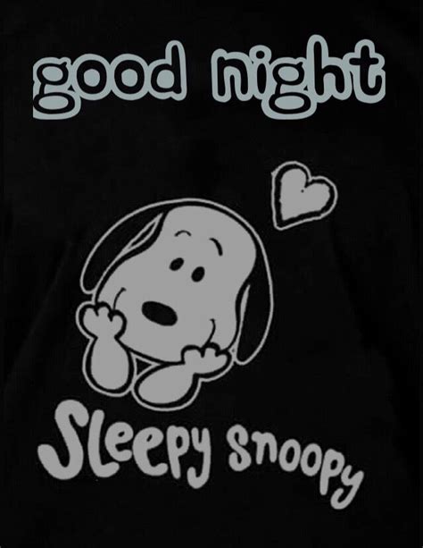 Pin By Tyler Jewell On Peanuts Good Night Quotes Snoopy Love