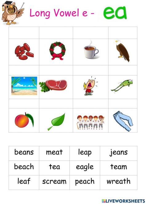 Long E Vowel Sound Online Worksheet For You Can Do The Exercises