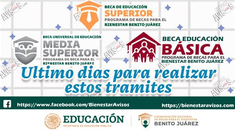 ≫ Estos Son Todos Los Trámites Que Puedes Realizar En La Coordinación Nacional De Becas