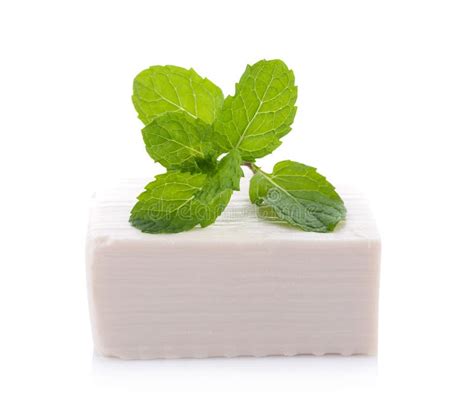 Tofu Isolated On White Background Stock Photo Image Of Studio Fresh