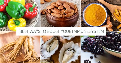 Best Nutrients And Supplements To Boost Your Immune System