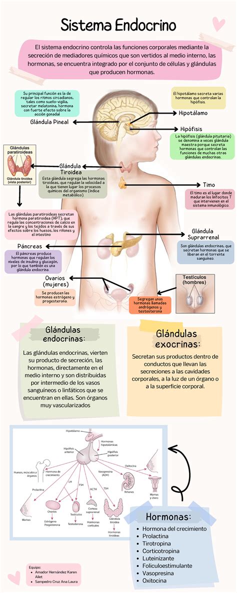 Infograf A Tips Salud Mental Ilustrado Cute Colores Pastel El Sistema