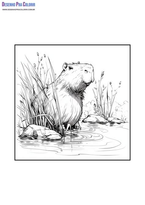 Capivara Desenho Para Pintar - 9