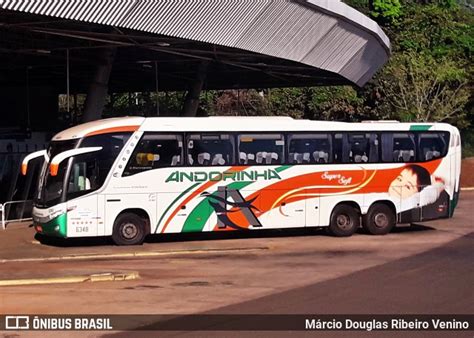 Empresa De Transportes Andorinha Em Campo Grande Por M Rcio