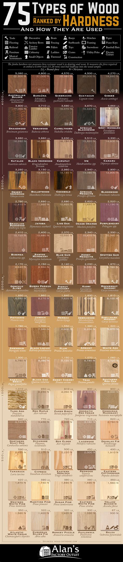 Ranking of 75 Types of Wood According to the Janka Hardness Test