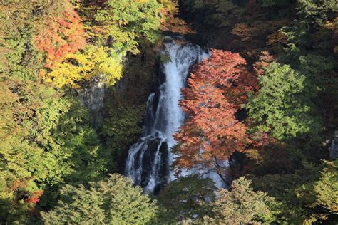 Free Images Tree Forest Waterfall Wilderness Leaf River Stream