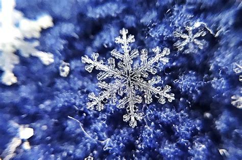 雪の結晶はなぜ六角形なの種類別の形や観察方法などをわかりやすく解説 じゃらんニュース