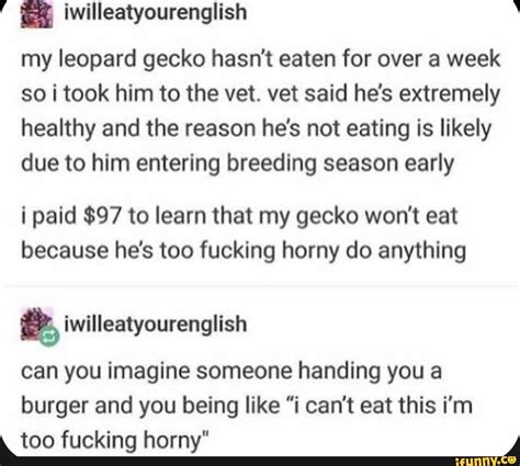 HOLD HE FUCK UP M THE FUCK UP PLEASE HOLD ME IFunny