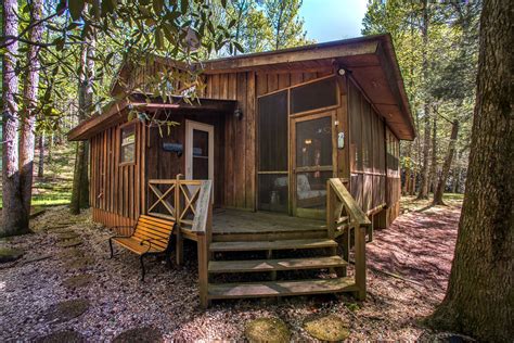 Luxury Cabin in Ellijay, Georgia