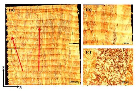 Applied Sciences Free Full Text Laser Metal Deposition Of Ti6al4v—a