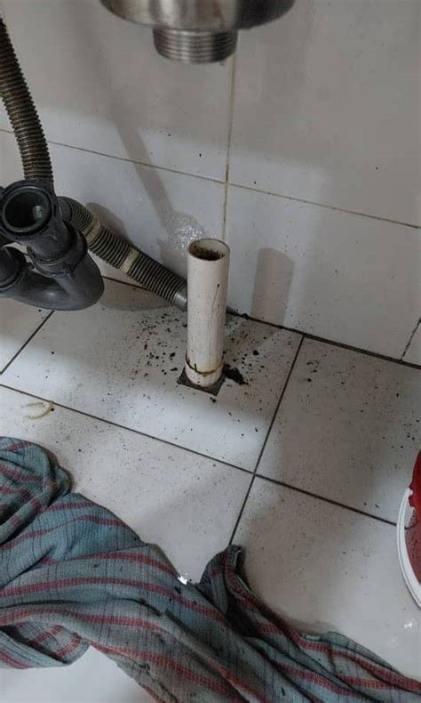 Plumbing Pakar Singki Dan Tandas Sumbat Area Pandan Indah WhatsApp