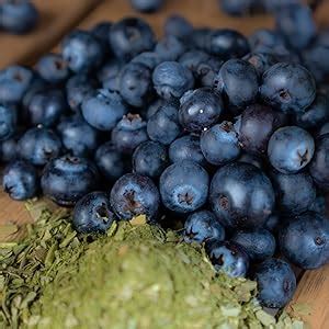 Amazon Babe Organic Yerba Mate Energy Drinks 150mg Plant Based Caffeine Natural Yerba