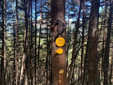 EL BOSQUE DE LOS MENAIRONS EN ANDORRA Sortir Amb Nens