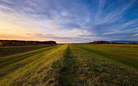 road roadside grass field-Nature HD Wallpaper Preview | 10wallpaper.com