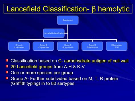 Ppt Streptococcus Powerpoint Presentation Free Download Id 9520404