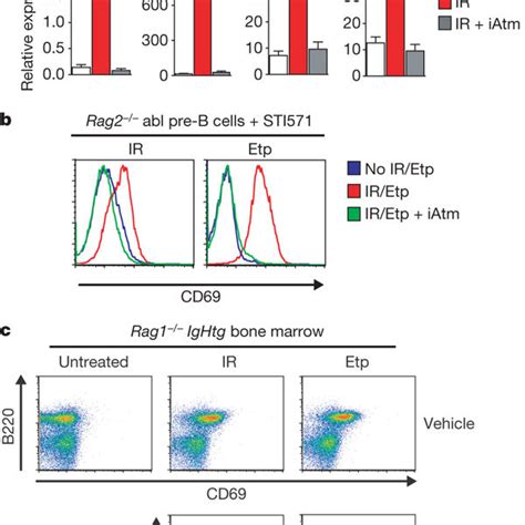 Genotoxic Dsbs Promote Changes In Expression Of Lymphocyte Specific