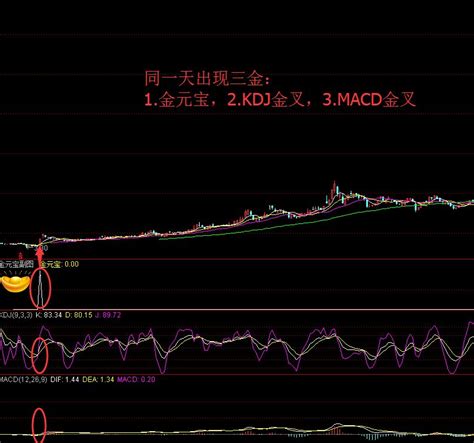 通达信金元宝副图以资金作为主线结合macd 和kdj应用画面简洁明了 通达信指标网