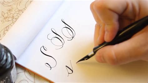 Modern calligraphy letter "W" - PaintingTube