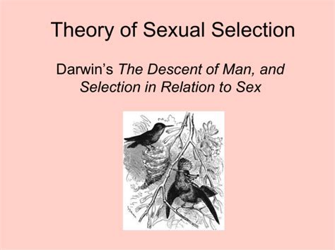 Sexual Selection