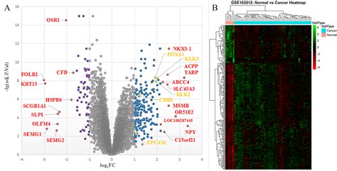 The Volcano Plot And Heatmap Of The Degs A Volcano Plot The