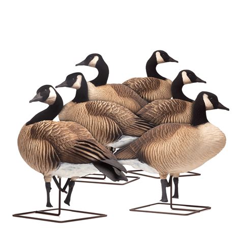 Goose Decoys – Dave Smith Decoys