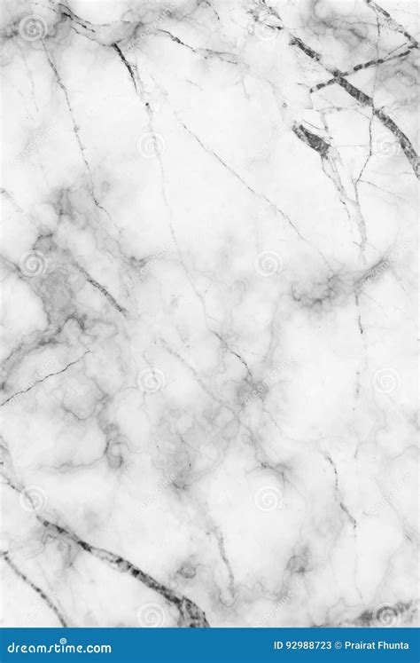 White And Gray Marble Texture With Delicate Veins Stock Image Image