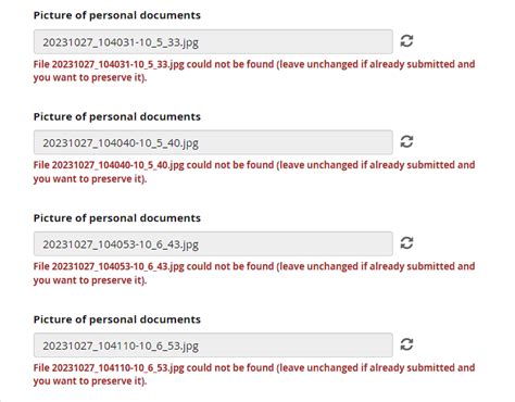 Media Files Disappear From Form Responses Data Management