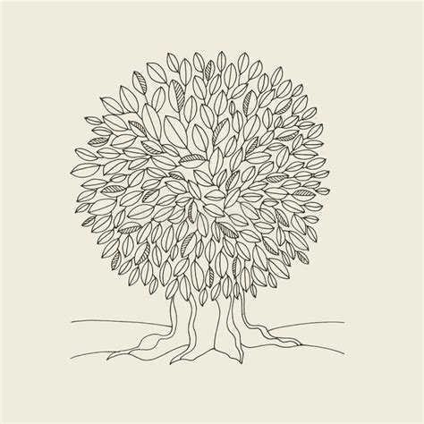 Pen Ink Oak Tree Stock Illustrations Pen Ink Oak Tree Stock