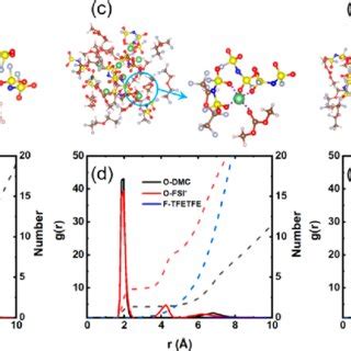 Li Ion Solvation Environment Along With The First Solvation Shells